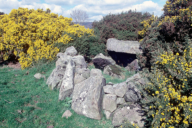 Clonlum North Cairn
