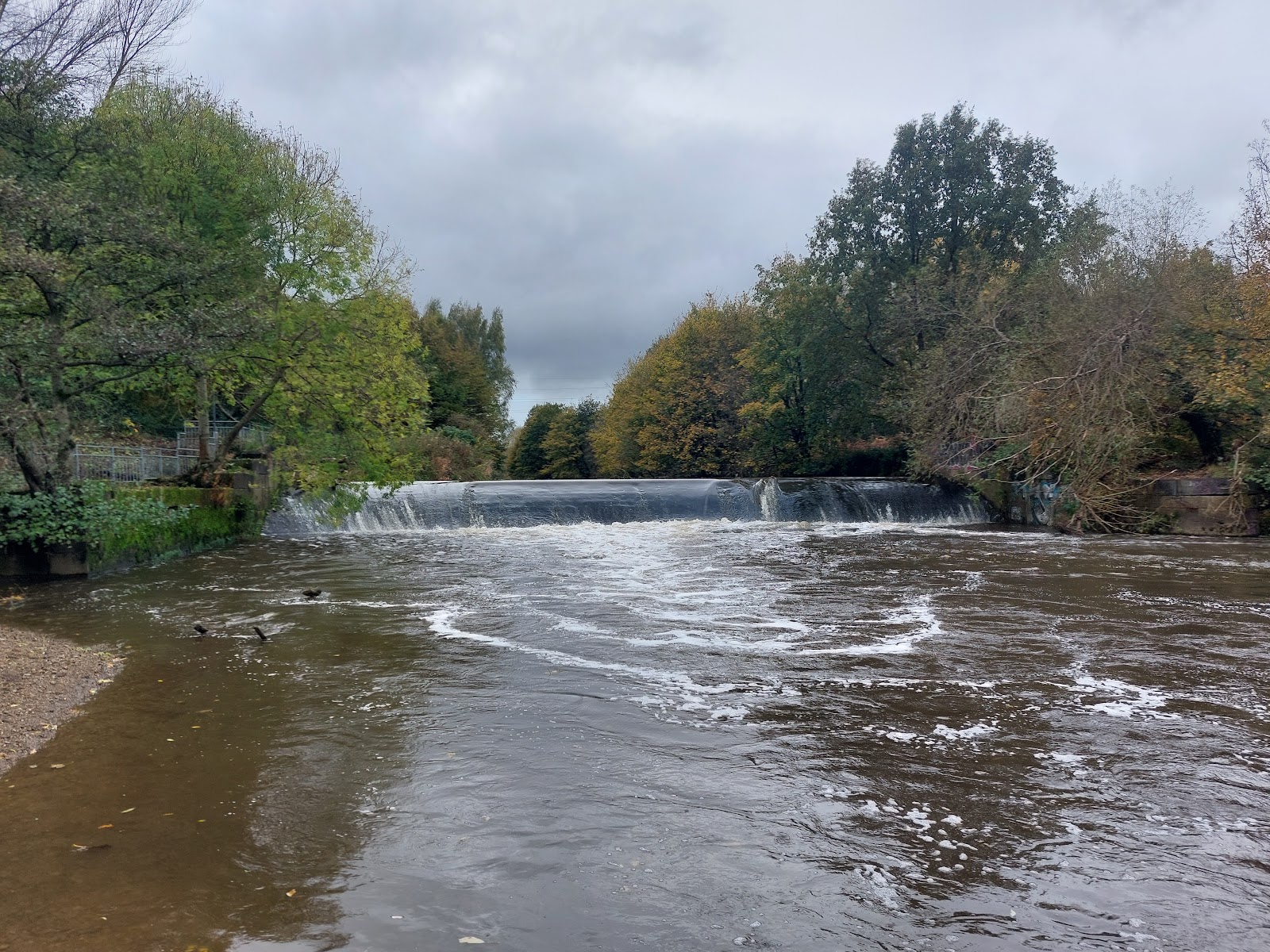 Kirkstall Valley Nature Reserve