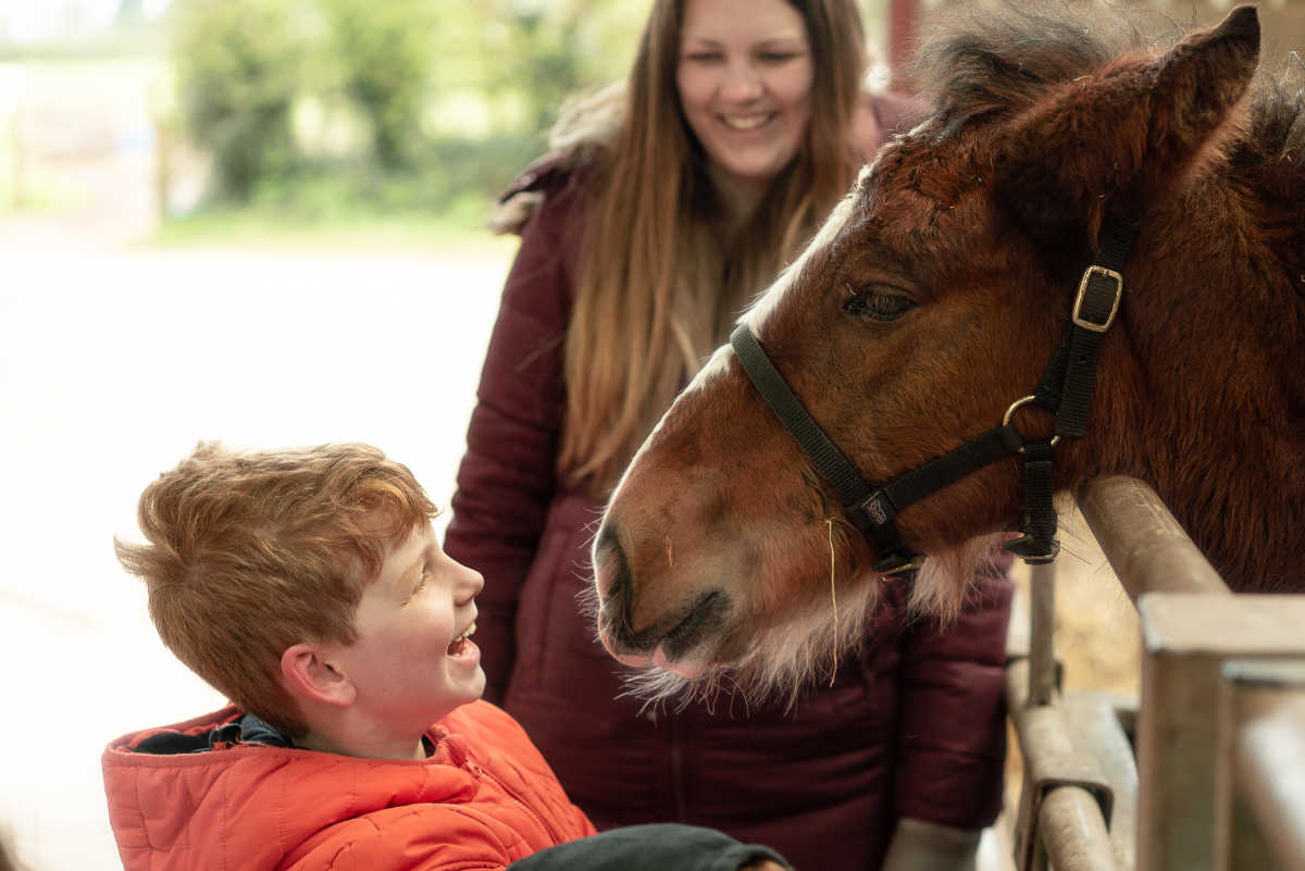 Cotebrook Shire Horse Centre