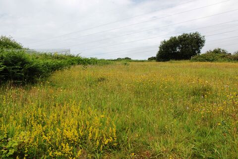 Heysham Nature Reserve