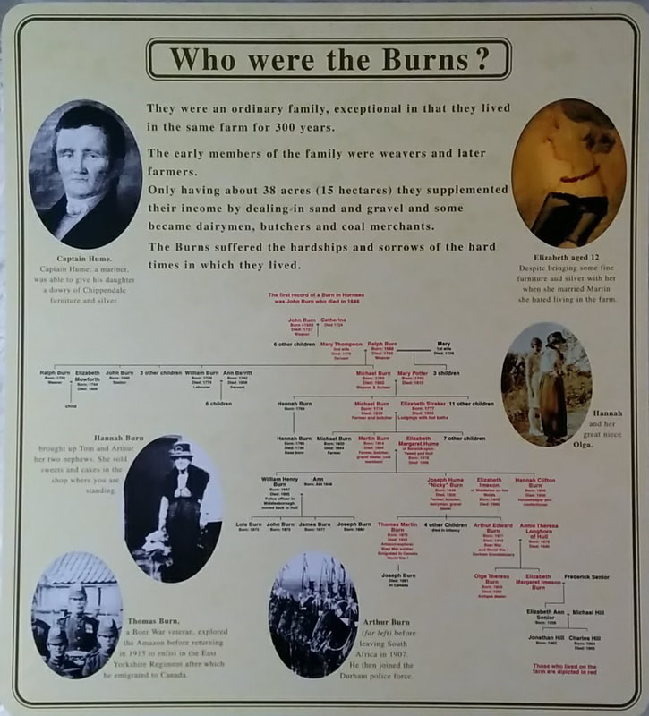 Hornsea Museum