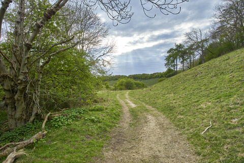 Ringstead Downs