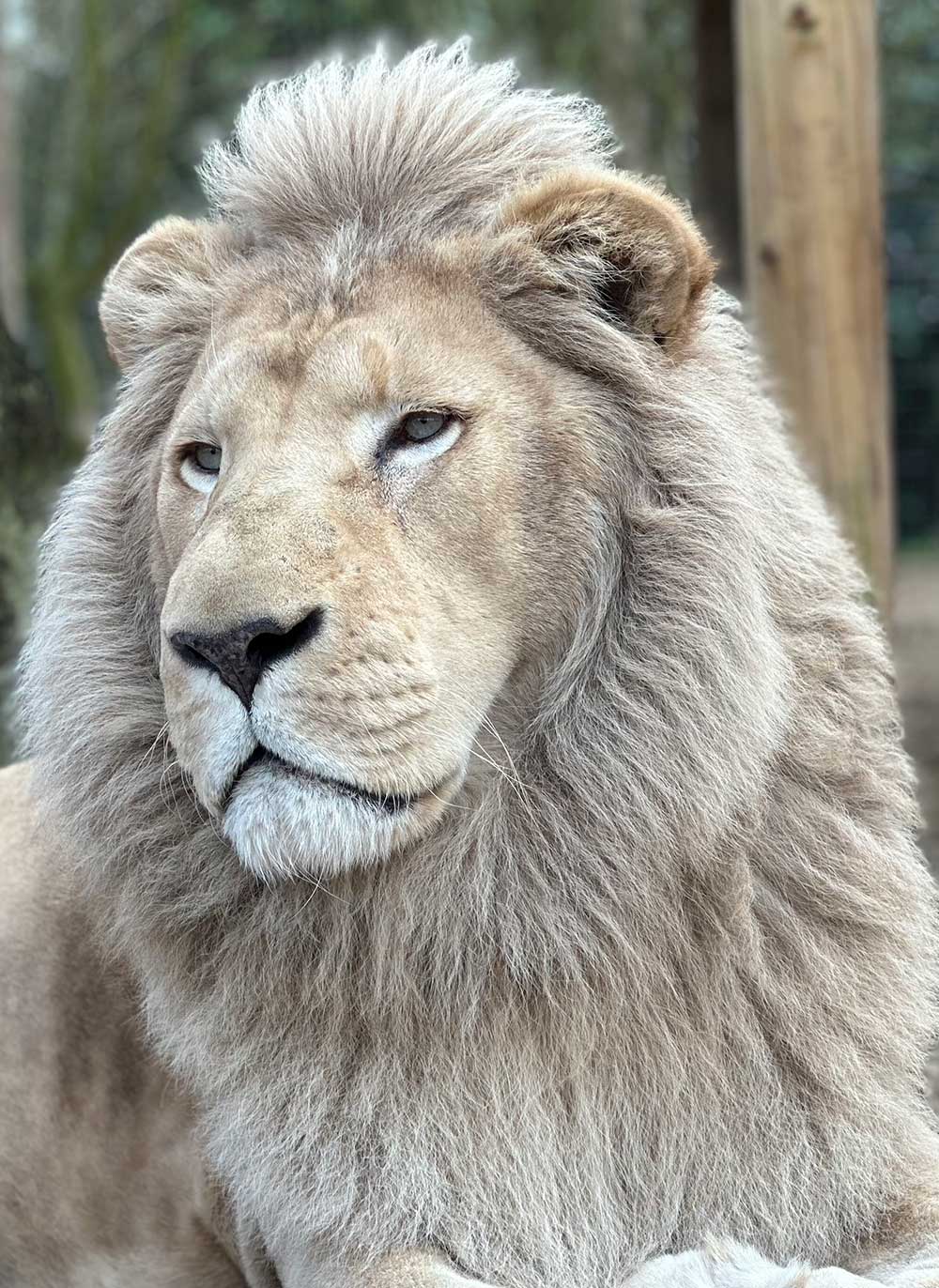 Lincolnshire Wildlife Park