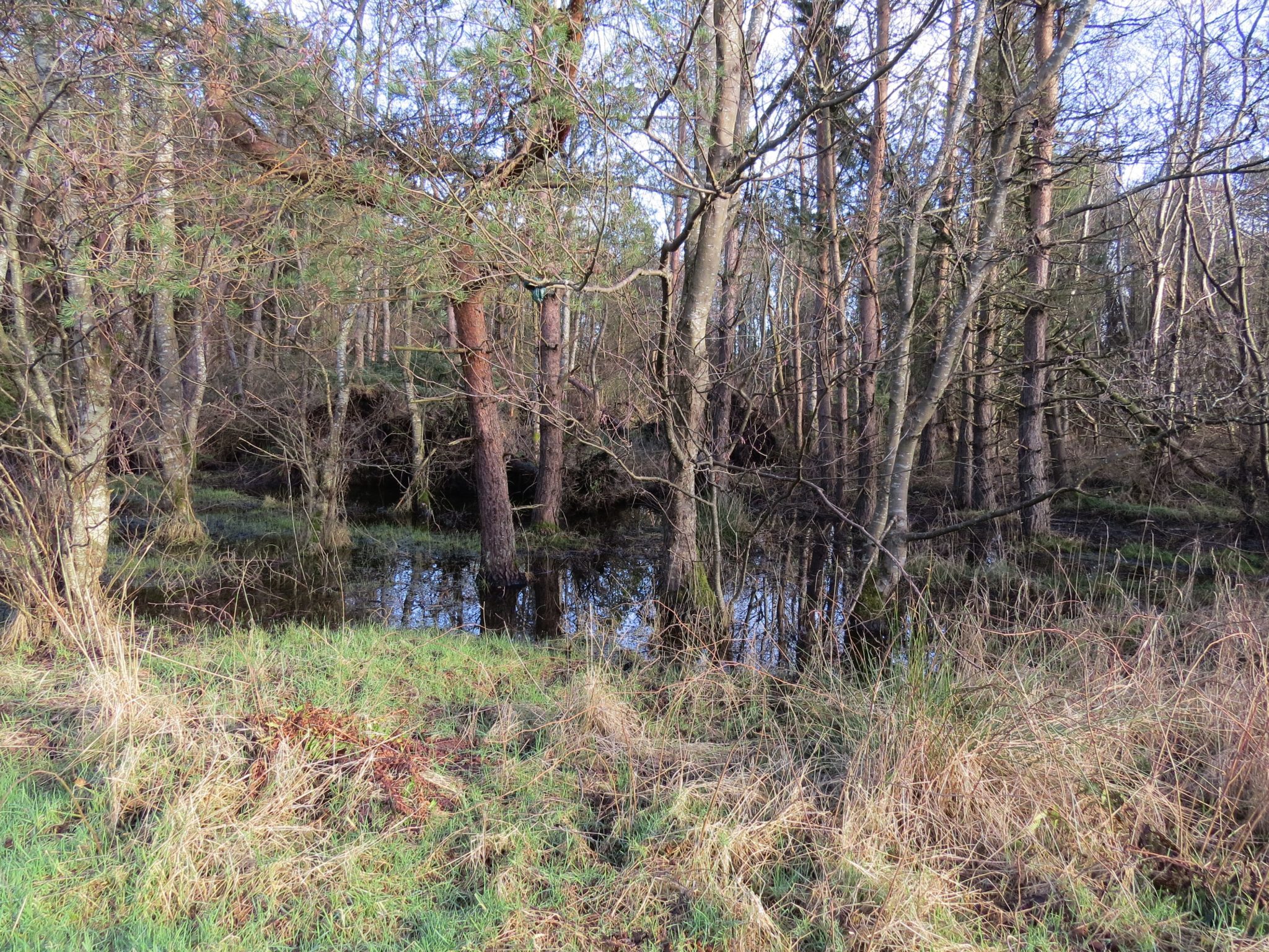 Shewalton Wood Wildlife Reserve
