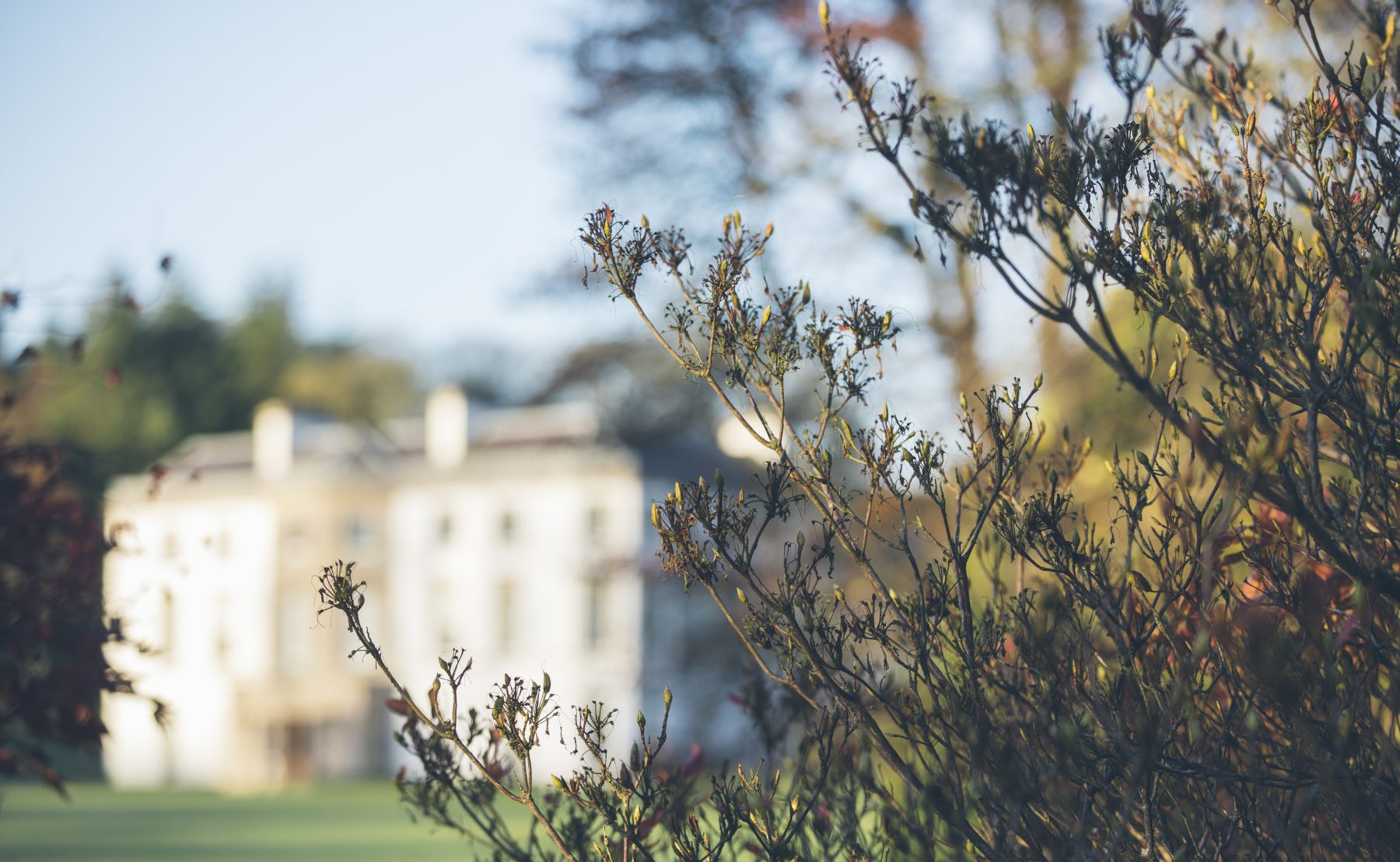 Montalto Estate