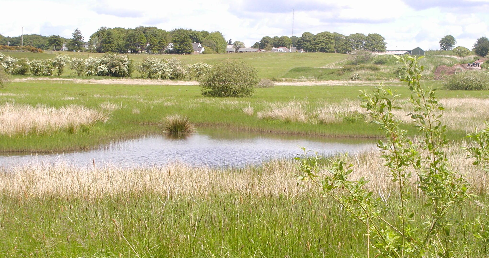 Cathkin Marsh Wildlife Reserve