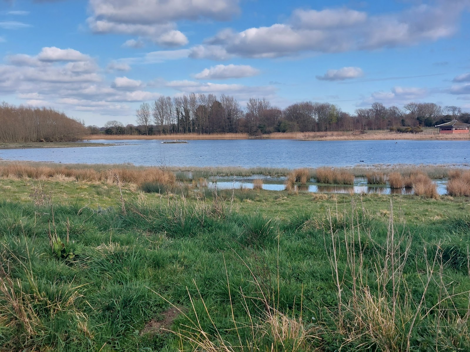 Staveley Nature Reserve