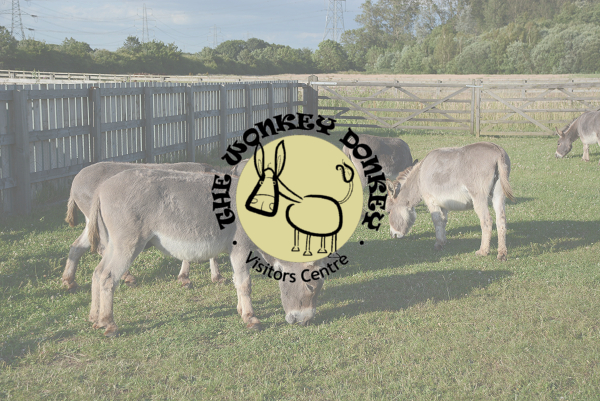 The Wonkey Donkey Visitor's Centre