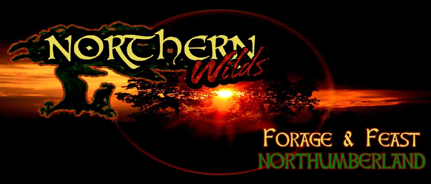 Northern Wilds