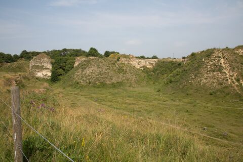 Bishop Middleham Quarry Nature Reserve