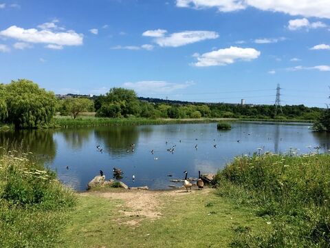 Shibdon Pond Local Nature Reserve