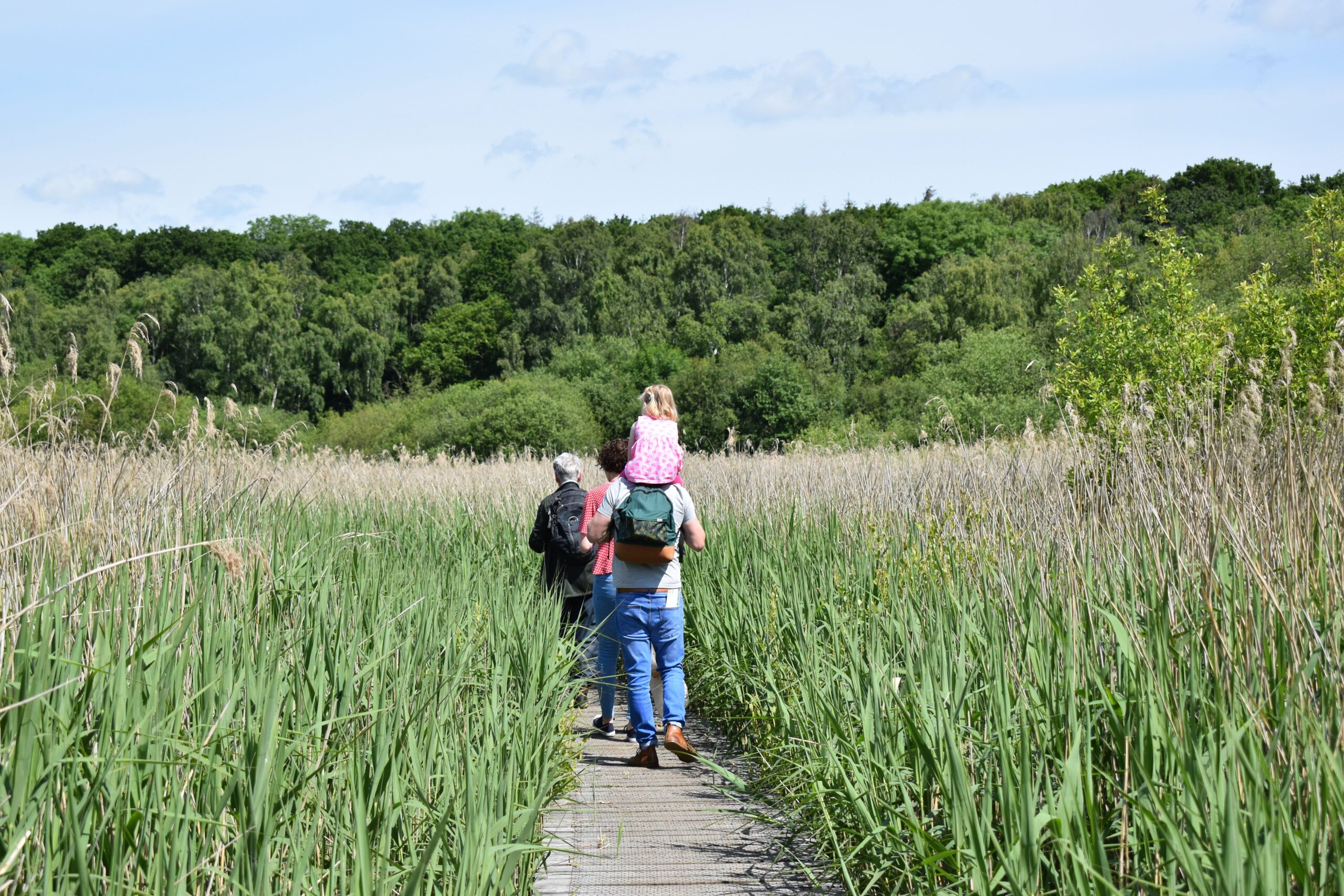 Gosforth Park Nature Reserve