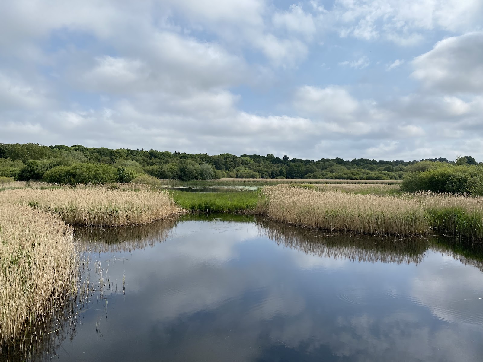 Gosforth Nature Reserve