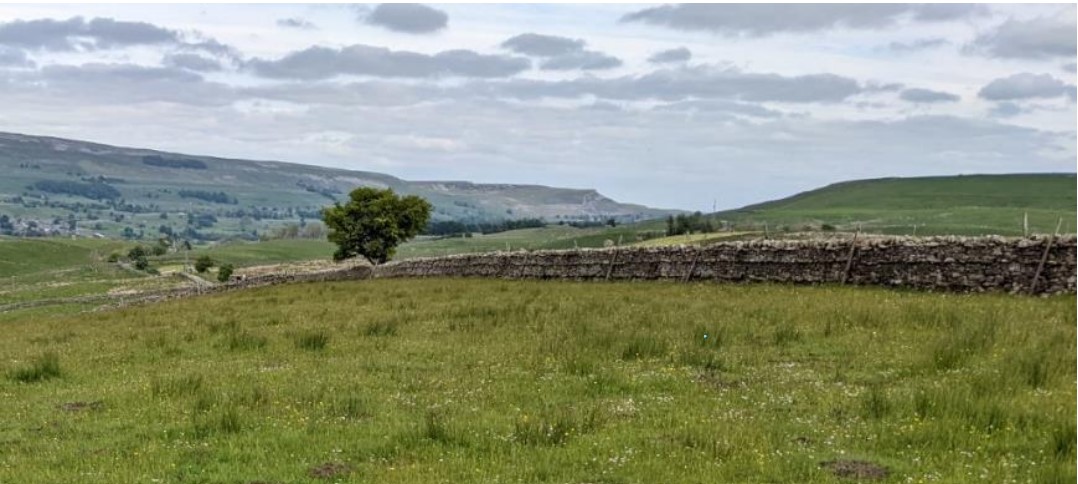 Priest Bank