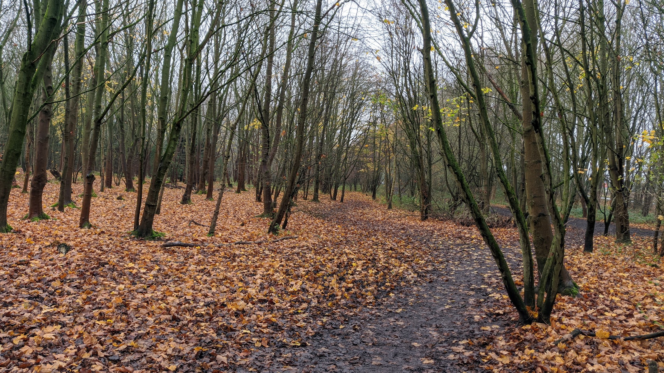 Havannah and Three Hills Nature Reserve
