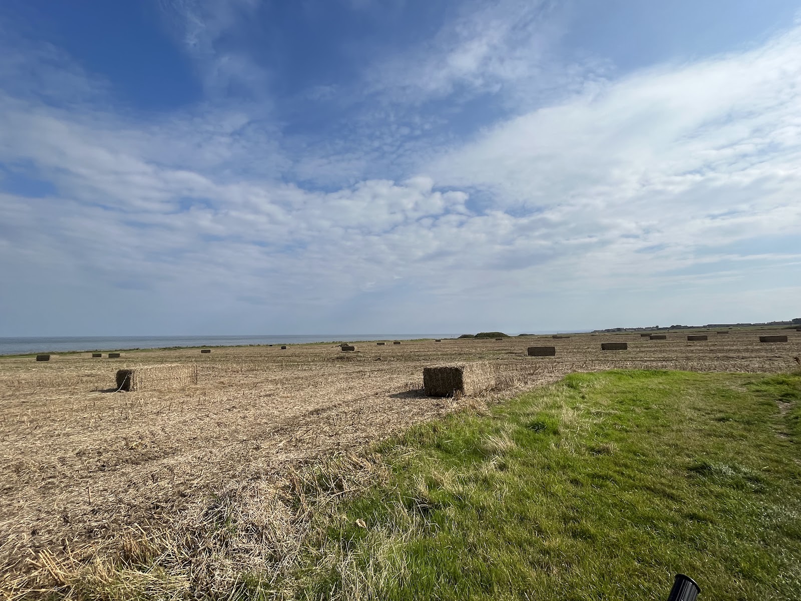 Whitburn Nature Reserve Bird Hide