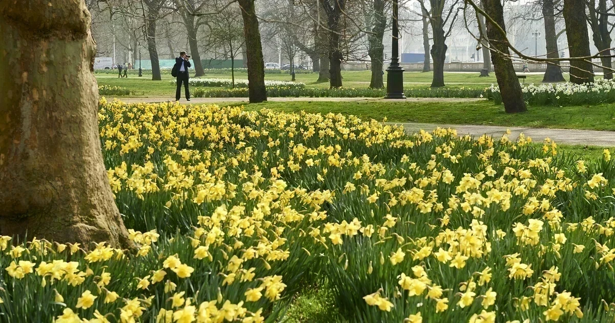 The Green Park