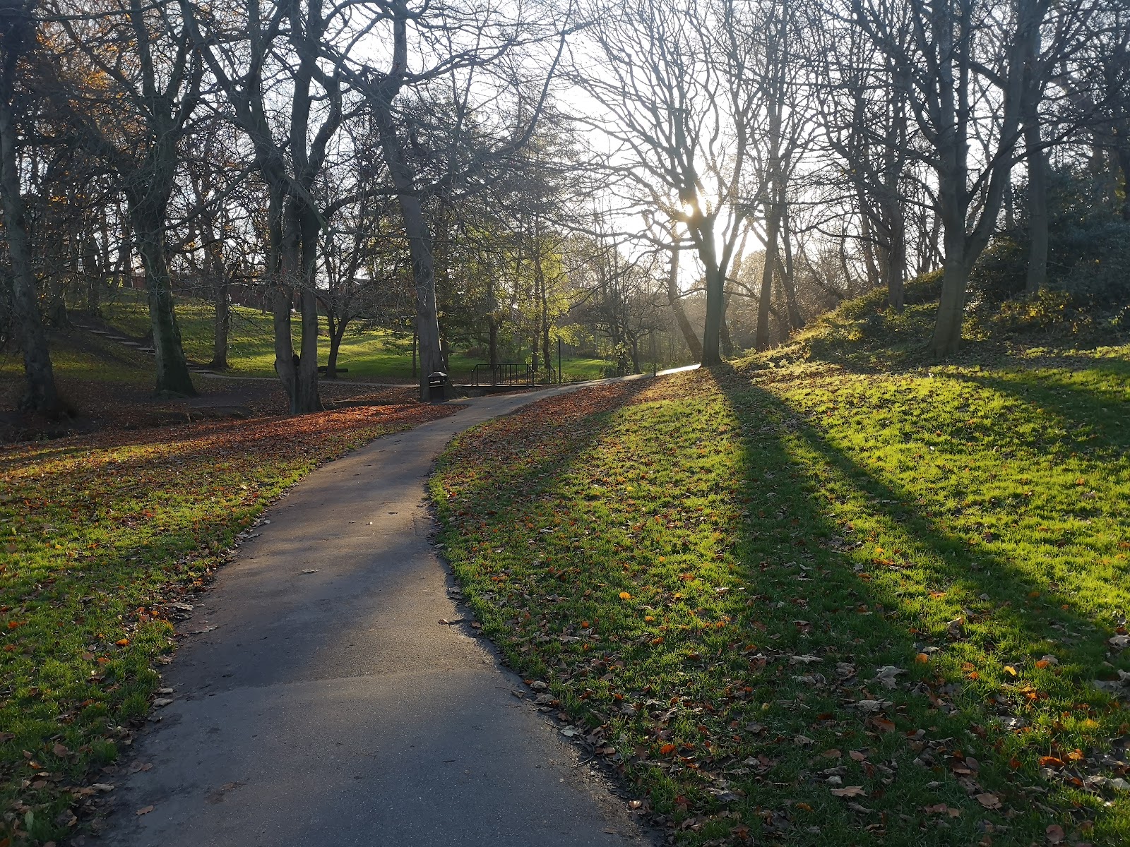 Backhouse Park