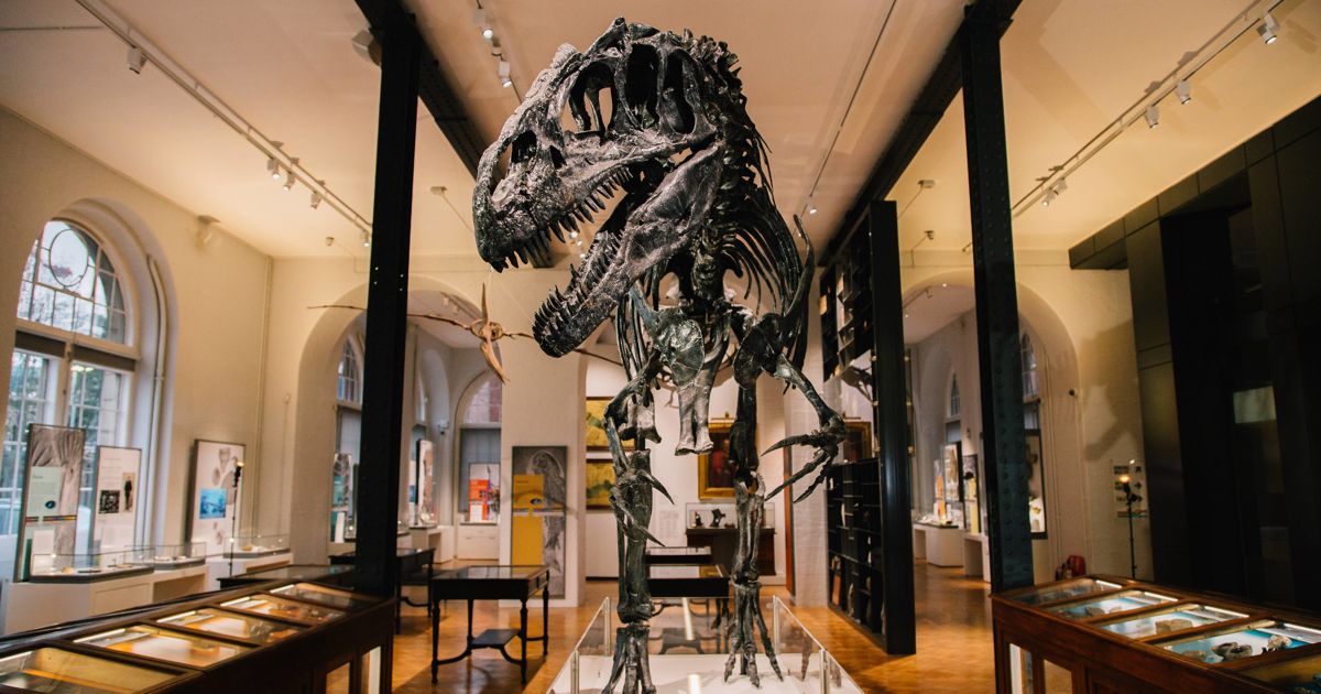 Lapworth Museum of Geology