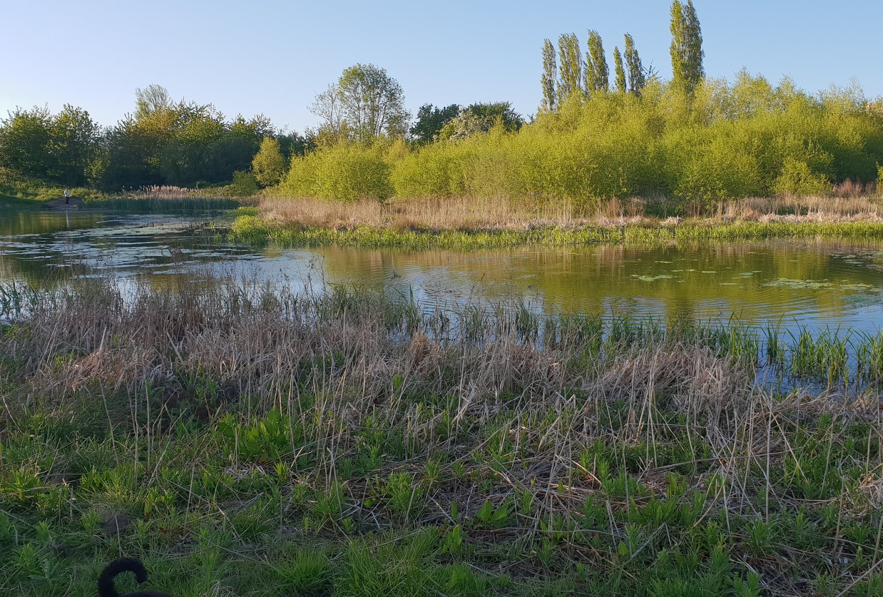 Hardwick Dene Nature Reserve