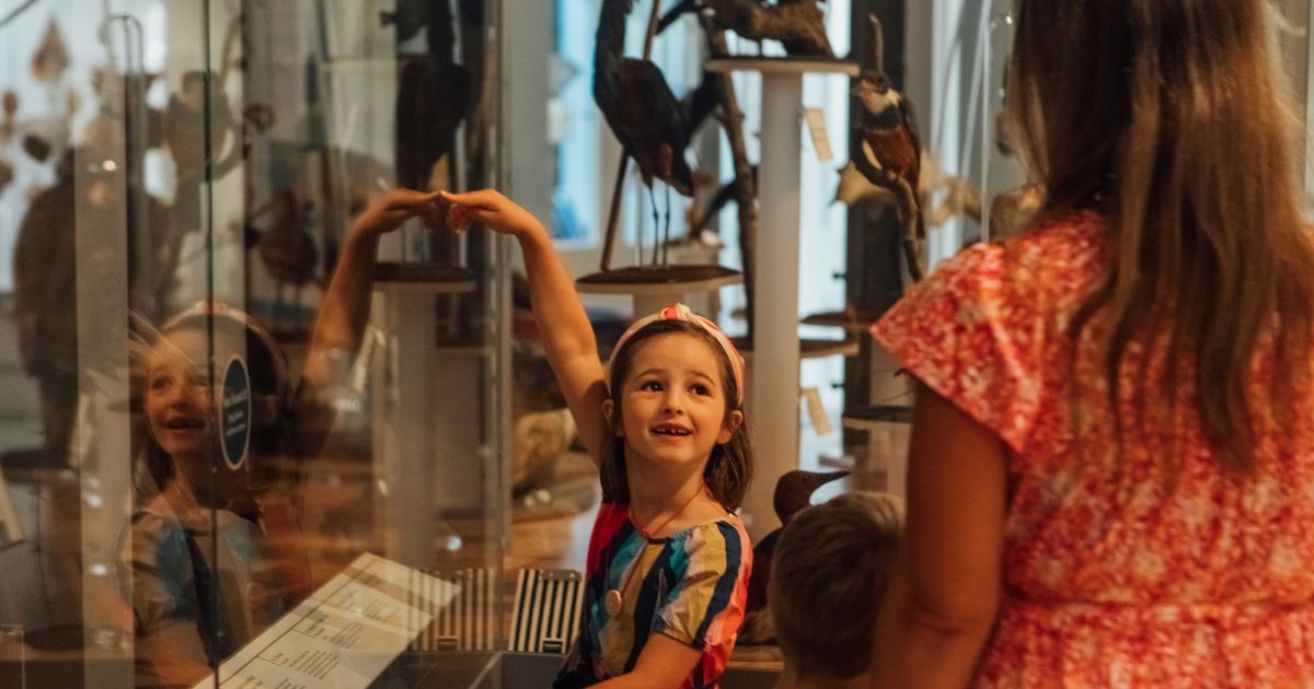 Leeds City Museum