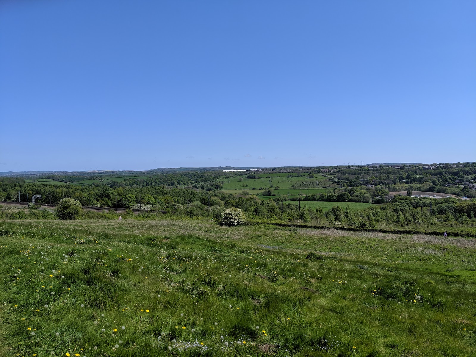 Aykley Wood Nature Reserve