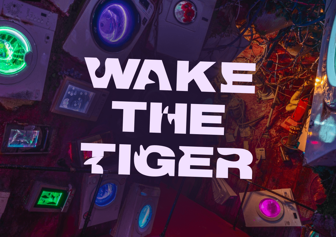 Wake The Tiger Bristol