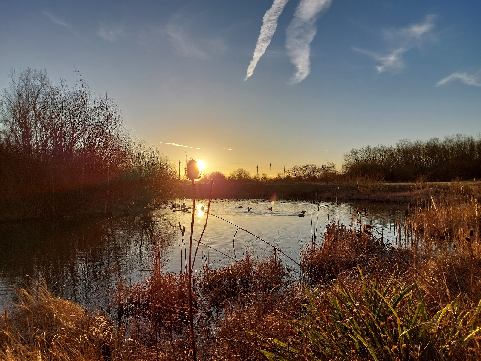 Hebburn Quarry Pond Local Nature Reserve