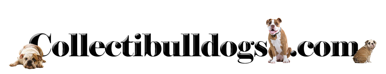 Collectibulldogs
