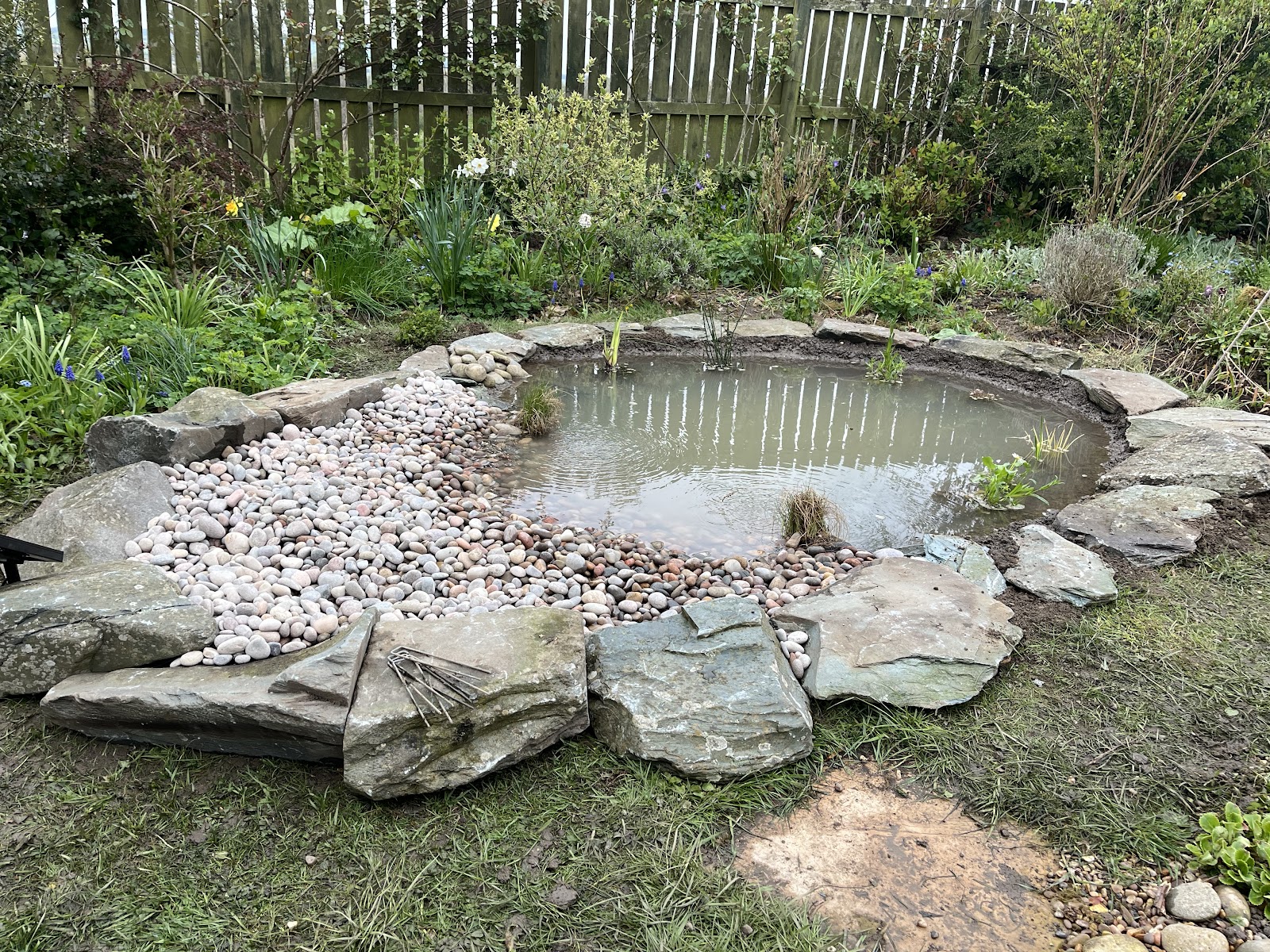 Wildlife Gardening Services