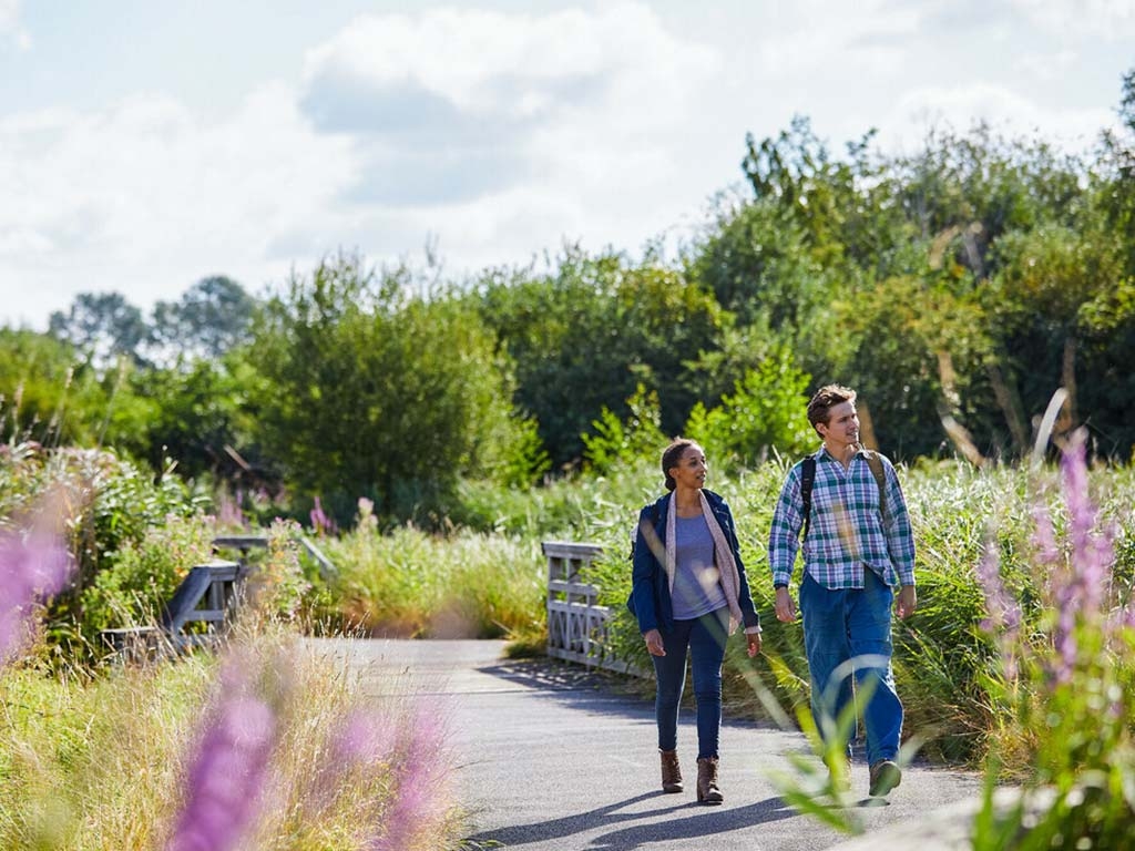 WWT London Wetland Centre