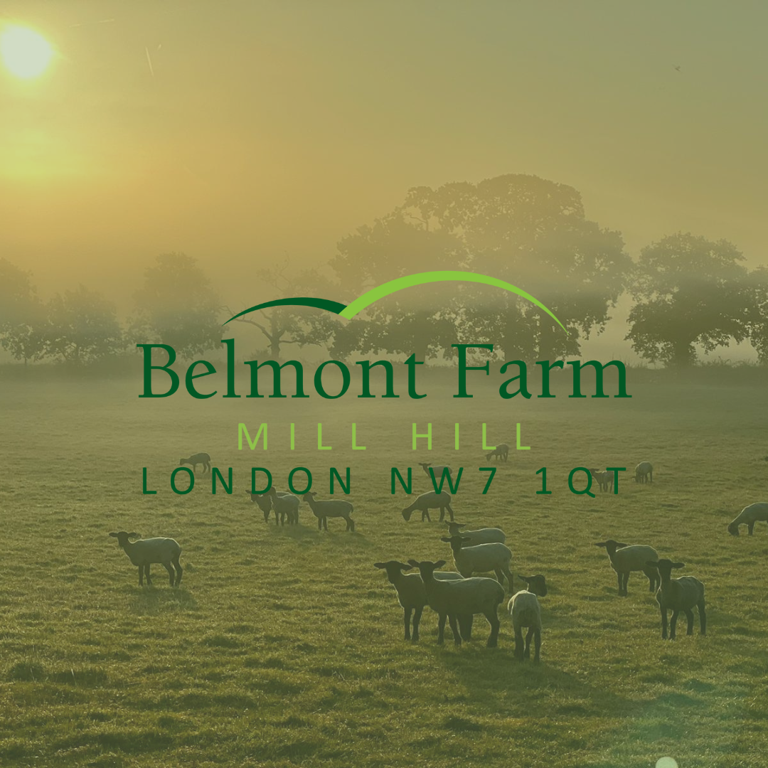 Belmont Farm