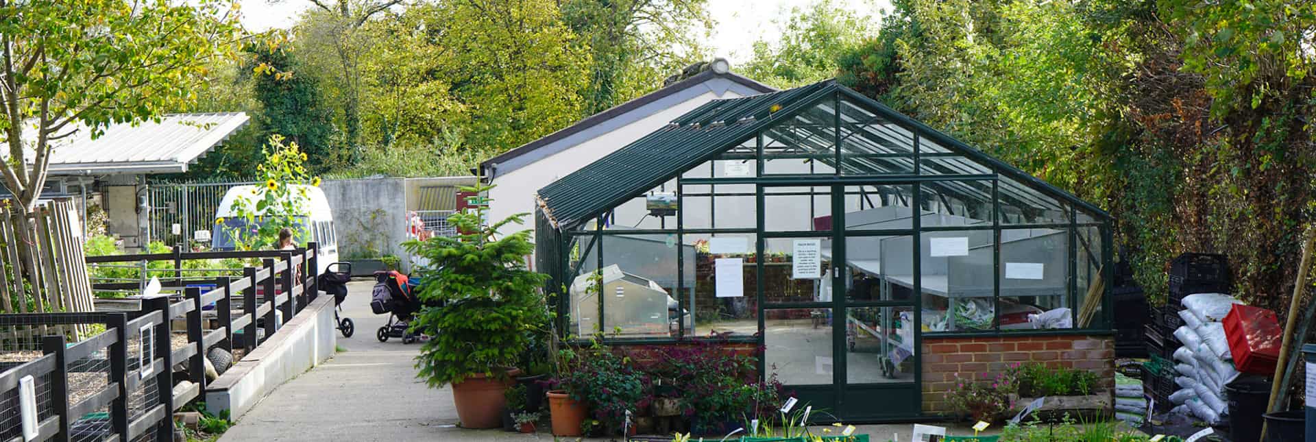 Crystal Palace Park Farm