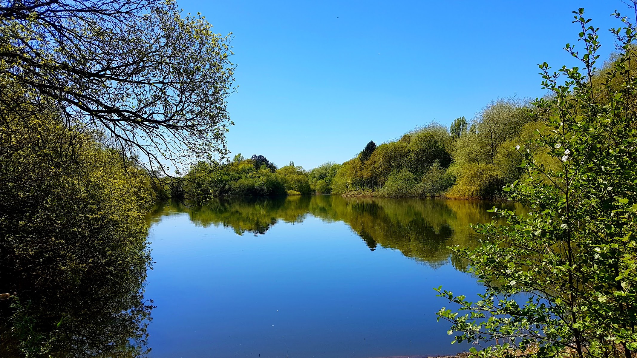 Skylarks Nature Reserve