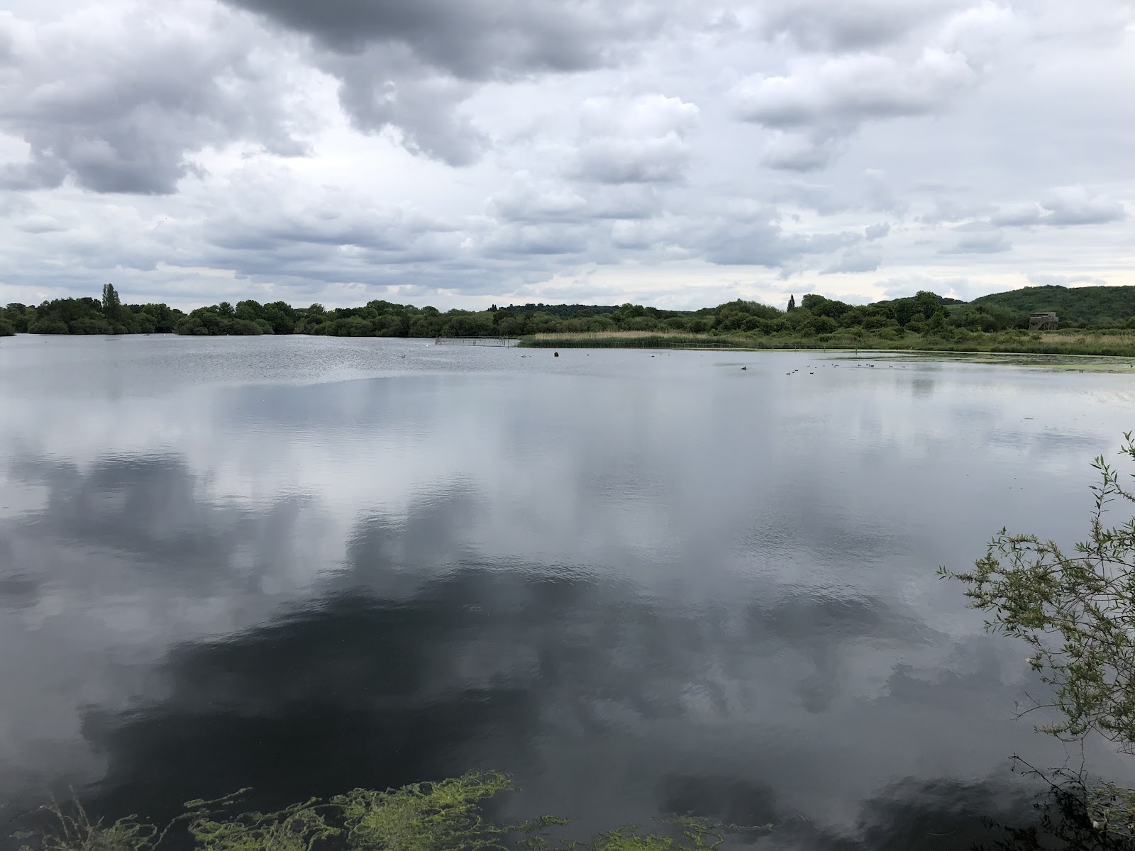 Wildlife Viewpoint