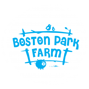 Boston Park Farm (Maize Maze)