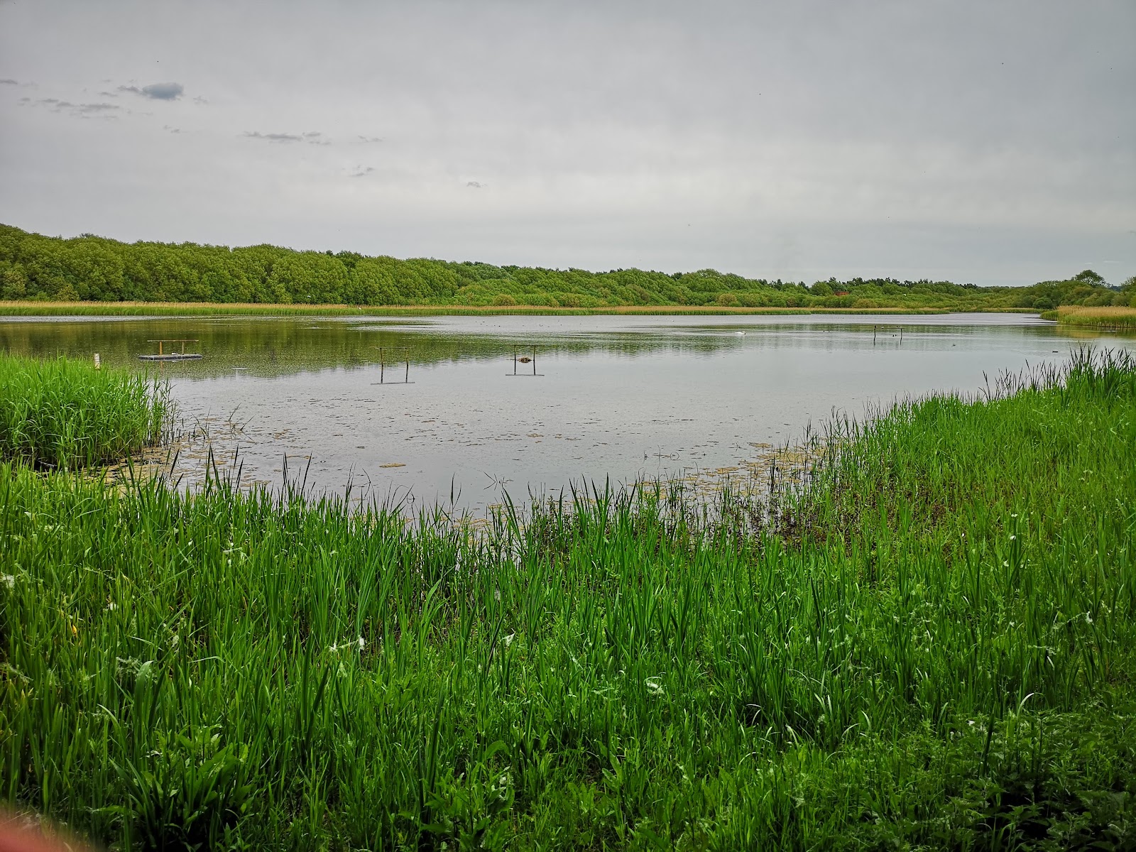 Boultham Mere Nature Reserve