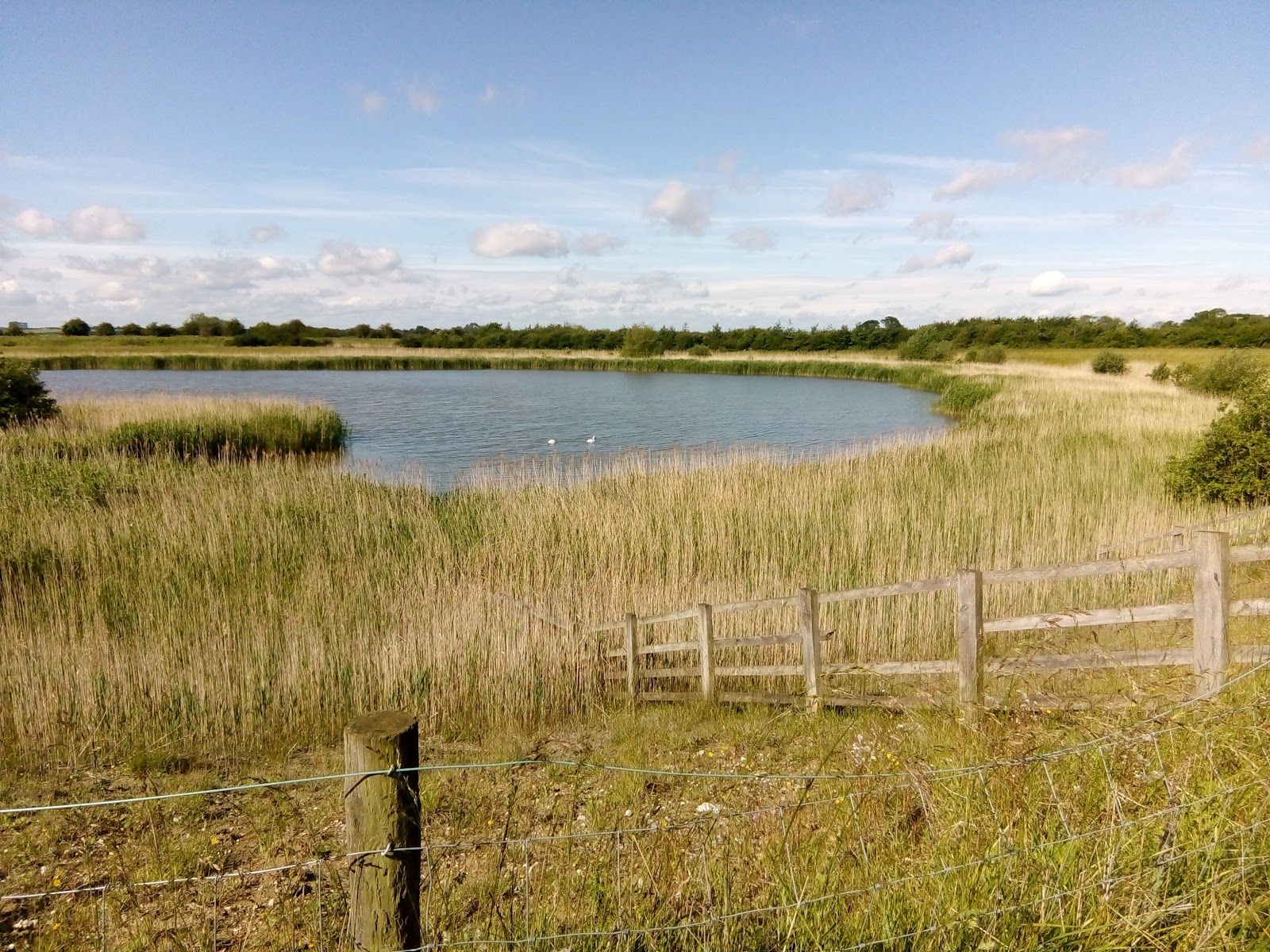 Fiskerton Fen Nature Reserve