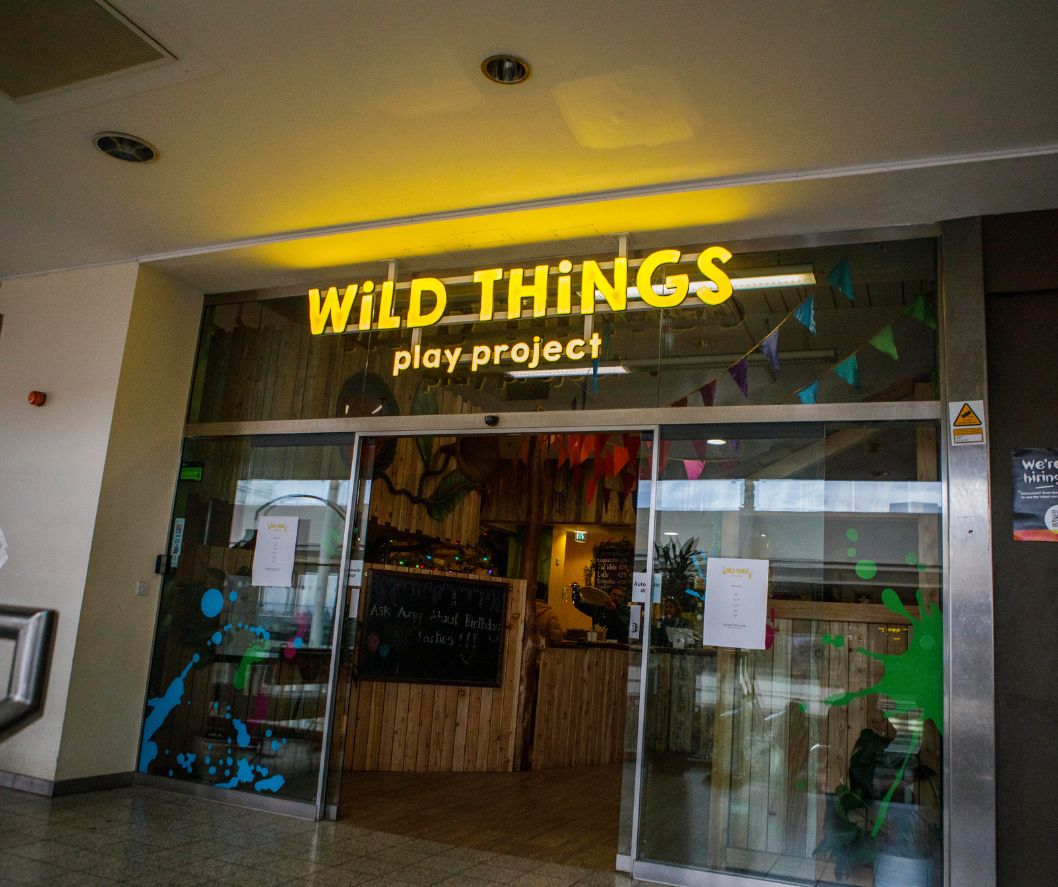 Wild Things Play Project Bristol