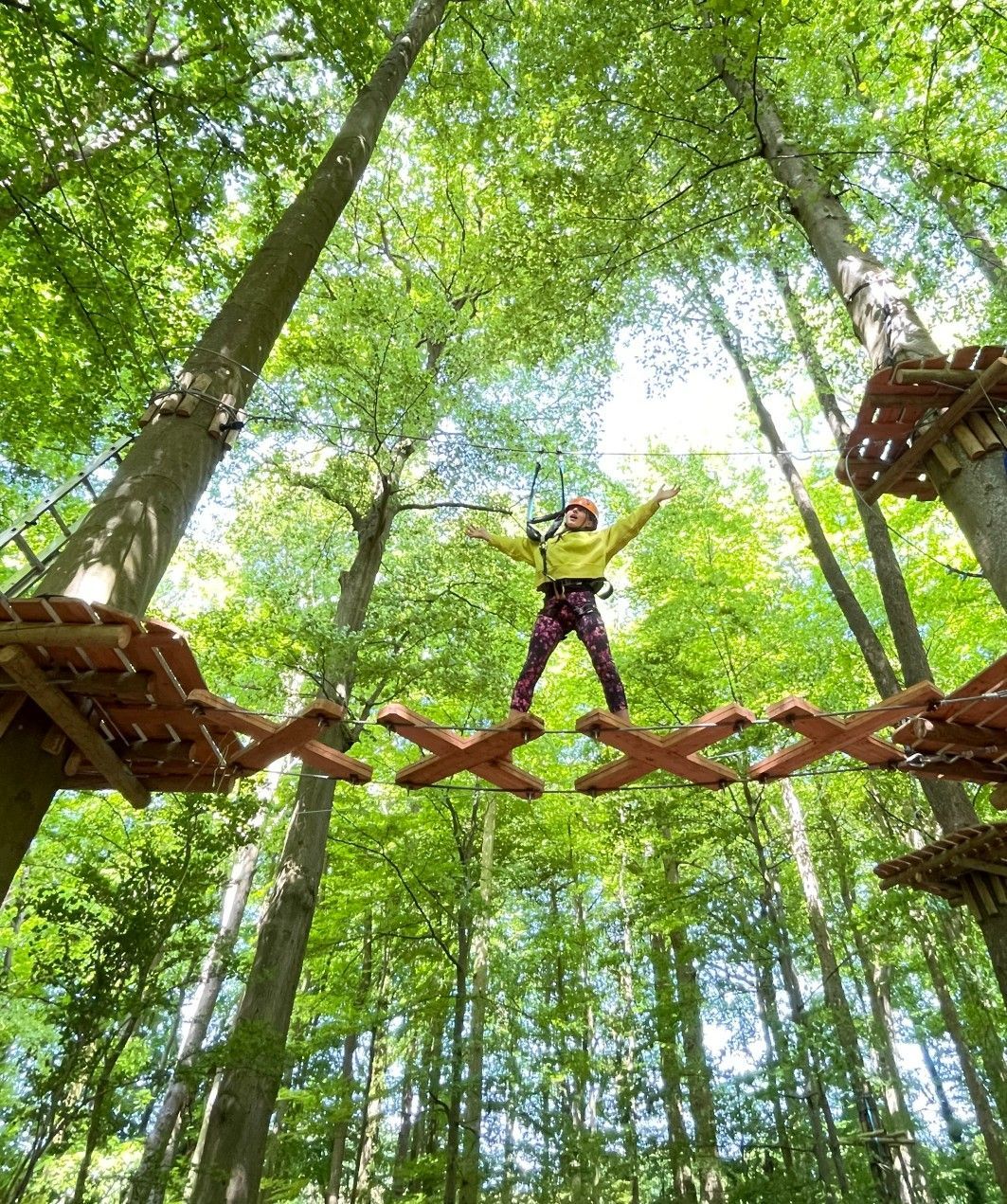 Adventure Bristol- Treetops