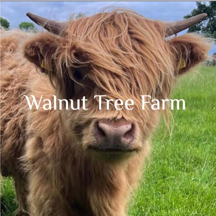 Walnut Tree Farm Park