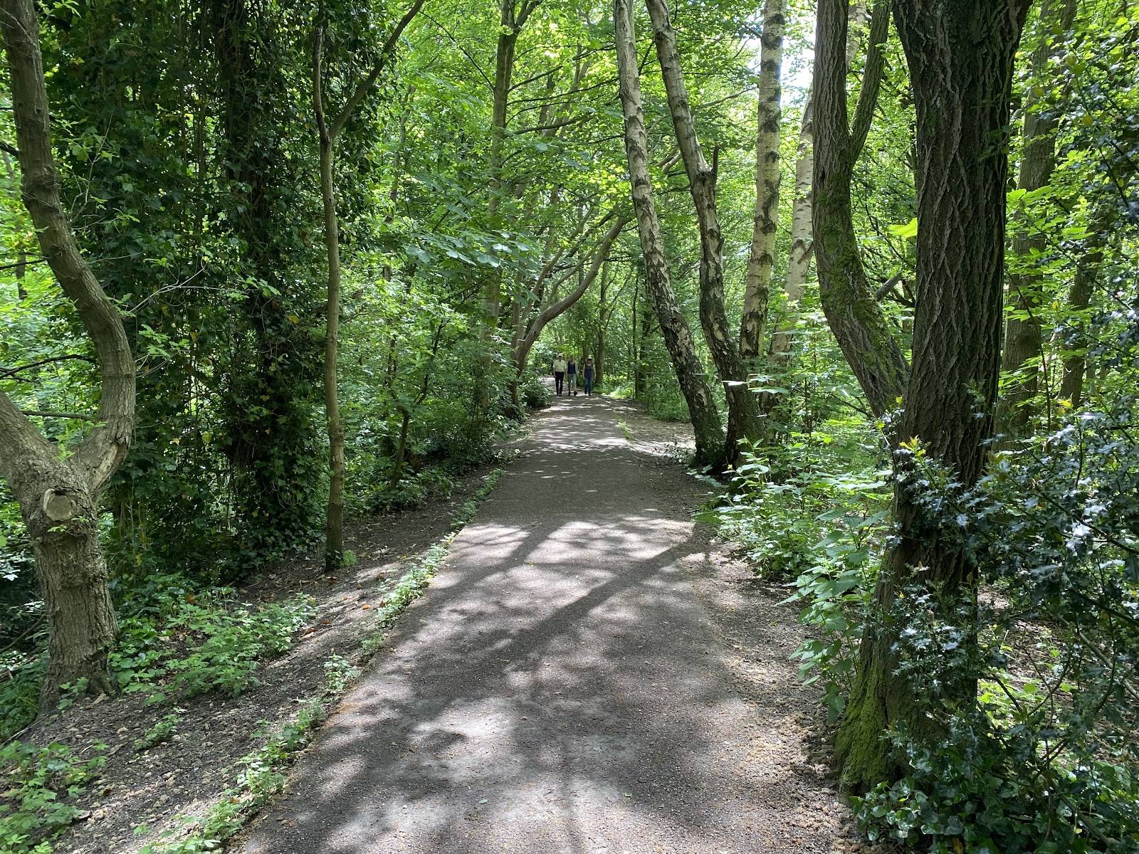 Harborne Nature Reserve