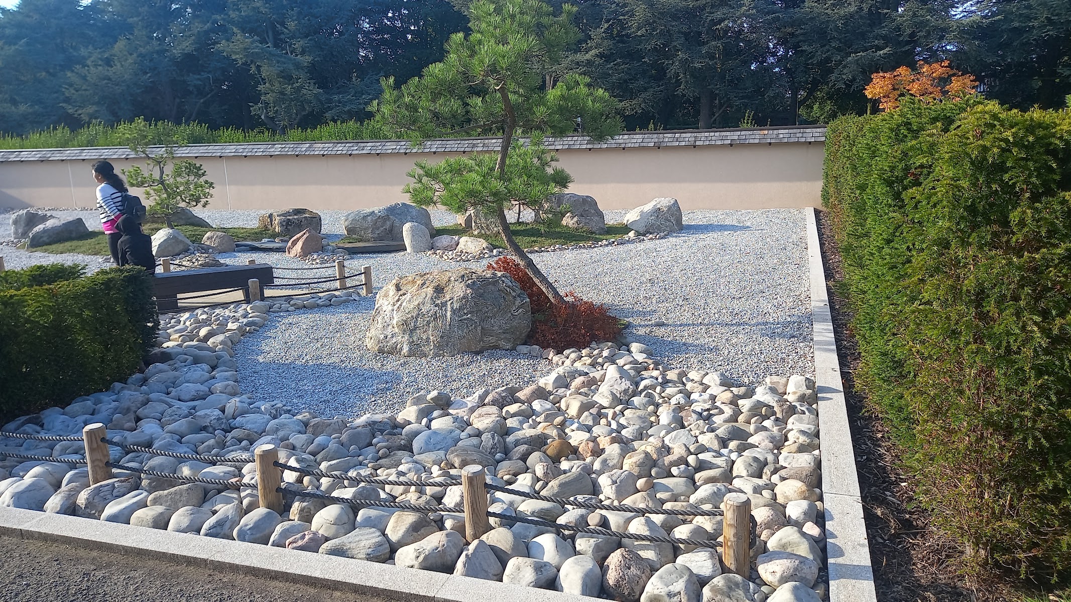 Japanese peace Garden Coventry Young ambassadors