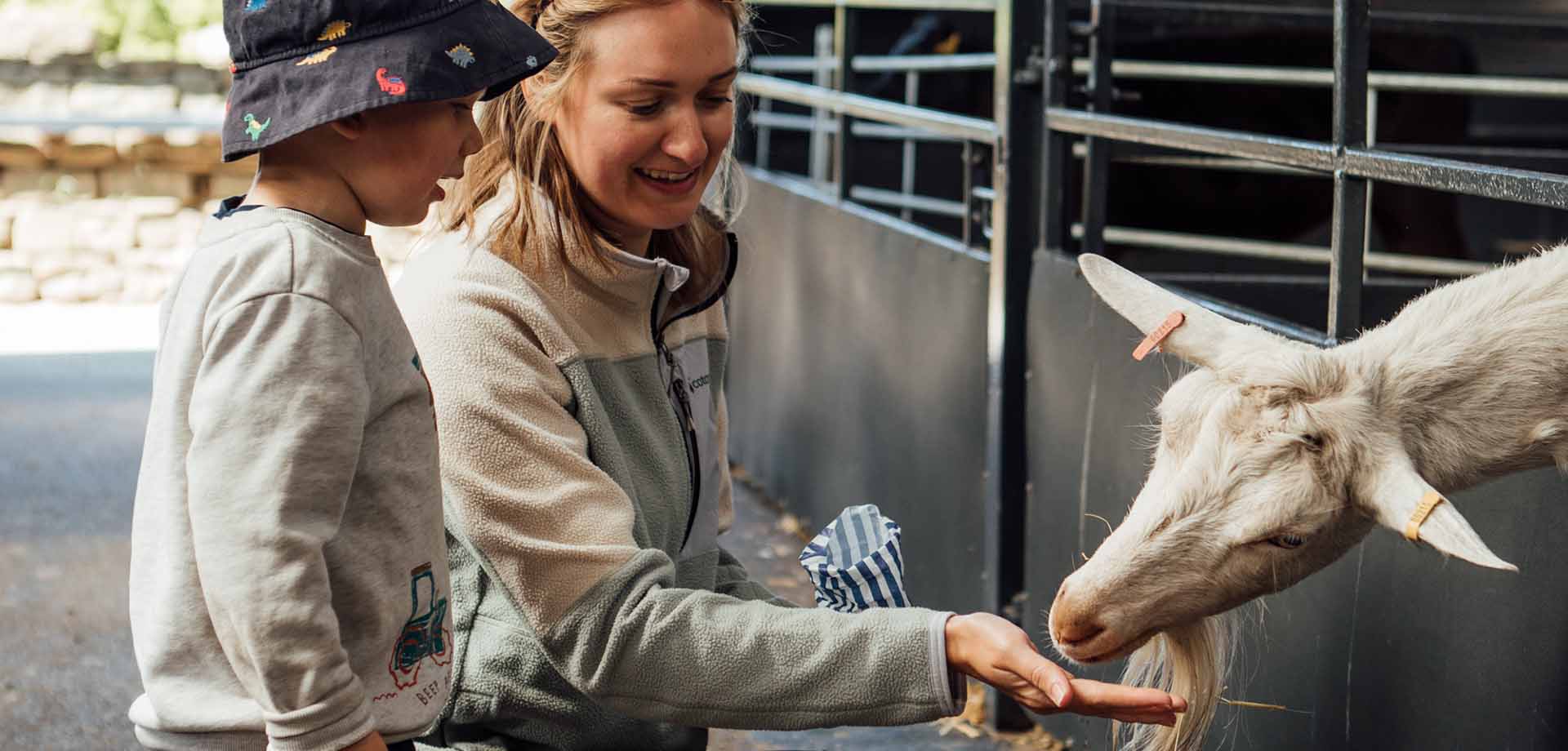 Chatsworth Farmyard & Adventure Playground