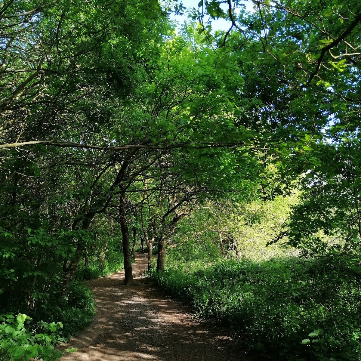 Smestow Valley Nature Park