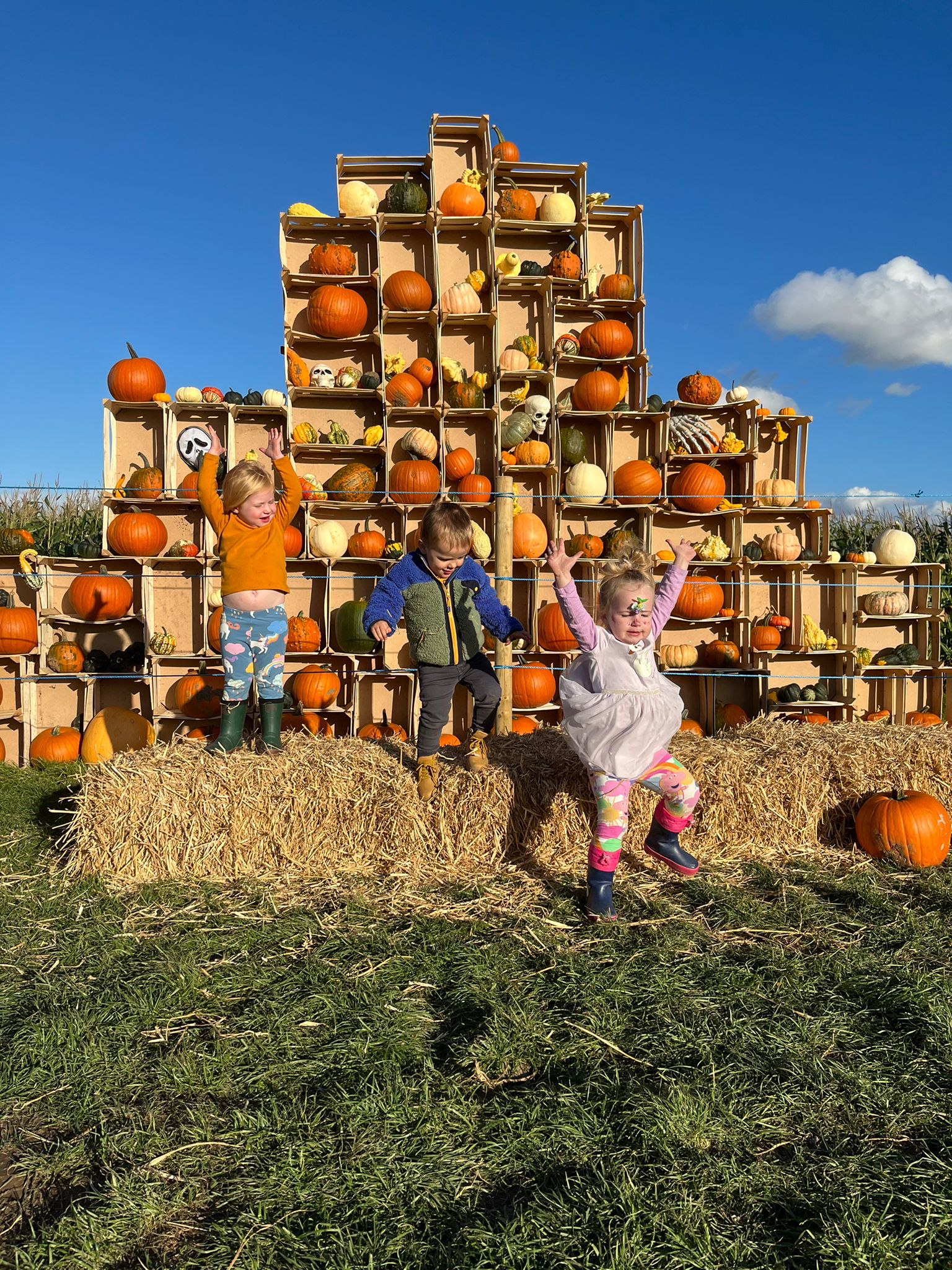 Sandy Bottom Farm