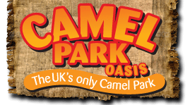 Camel Park Oasis