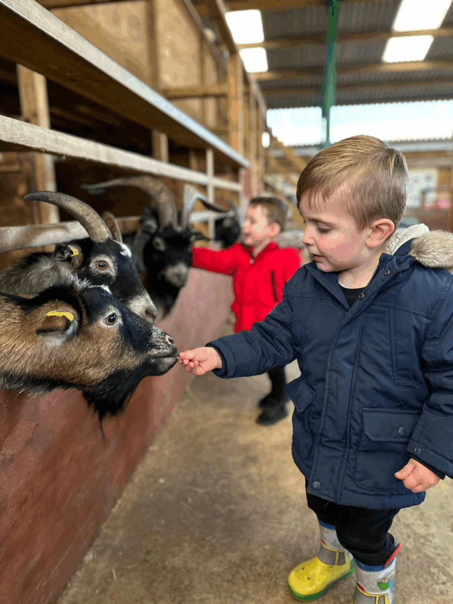 Roves Farm