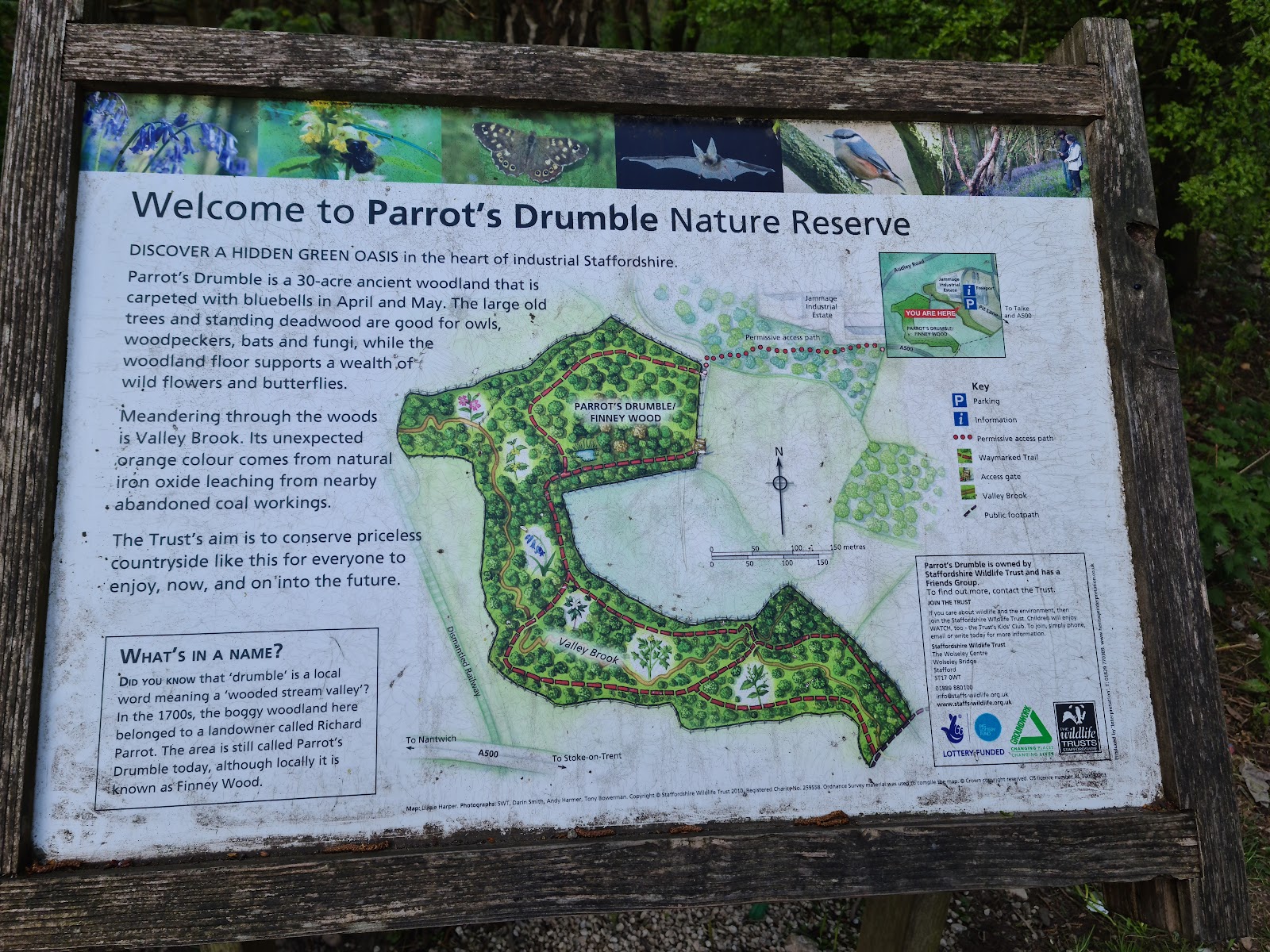 Parrot's Drumble Nature Reserve