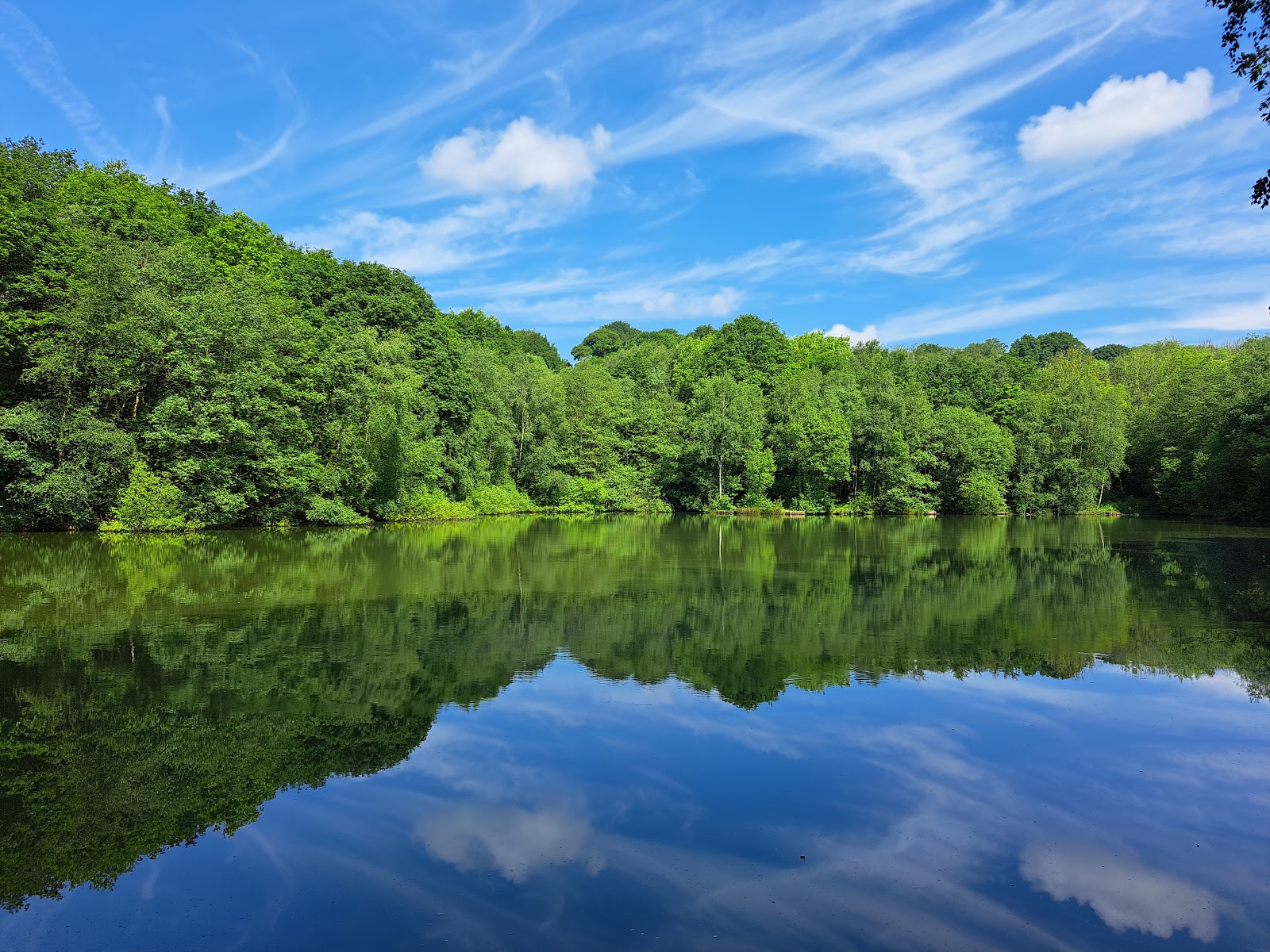 RSPB Consall Woods